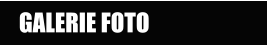 GALERIE FOTO