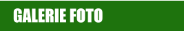 GALERIE FOTO